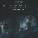 ABD ordusu resmi hesabından kurtların hedef alındığı bir video paylaştı: Türk kullanıcılar yorum yağmuruna tuttu