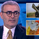 AK Partili Mahir Ünal: Silah bırakma çağrısı bütün tarafları kapsıyor