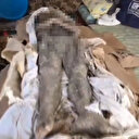 Orta Çağ'a ait mumya ele geçirildi: Satmaya çalışırken yakalandılar