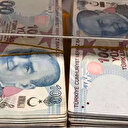 3 milyar 299 milyon lira tutarındaki tarımsal destekleme ödemesi hesaplara yattı