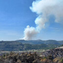 Lattaquié: Les forces syriennes déjouent une attaque de partisans d'Assad