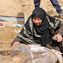 Gaza: le bilan des morts atteint 48 524