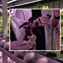 Aldıkları karar hayatlarını değiştirdi: İstanbul'u terk edip yerleştikleri yerde siparişlere yetişemiyorlar