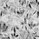 Okulda bulundu: 66 dinozor ayak izi keşfedildi