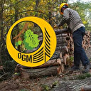 Orman Genel Müdürlüğü 252 daimi işçi istihdam edecek: İşte başvuru şartları