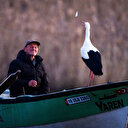 Meraklı bekleyiş sona erdi: Yaren leylek 14. yılda da göçüp geldi