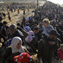 Les États-Unis étudient des alternatives pour la relocalisation des Palestiniens, selon un émissaire spécial