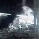 Artvin'de köye inen kurtlara tek başına karşı koyan köpek