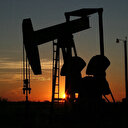 TPAO'dan önemli hamle: Siirt'te petrol arama ruhsat sahasını genişletecek