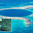 Çinli bilim adamları Mariana Çukuru'nda çalışan robot geliştirdi