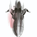 Gazze’de ateşkes neden çöktü?