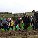 Aliağa'da Orman Haftası etkinliği: Bin adet fidan dikildi