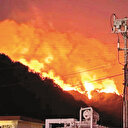 Japonya orman yangınlarına teslim