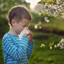 Polen alerjisi olanlar dikkat