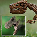 Milyonlarca yıl önce yaşamış iki parmaklı yeni dinozor türü keşfedildi