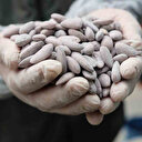 Yoğun talep var: Kilosu 250 TL il dışına bile gidiyor