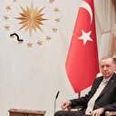 Le président turc et son homologue somalien discutent des relations bilatérales et des questions régionales