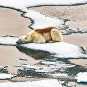 Pakistan büyüklüğünde buzul eridi