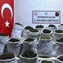 Diyarbakır'da 180 kilogram esrar ele geçirildi
