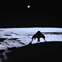 ’بلیو گھوسٹ‘ چاند پر سافٹ لینڈنگ کرنے والا پہلا نجی خلائی جہاز بن گیا