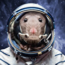 NASA fareleri araştırma için uzaya gönderdi: İşte sonuçlar