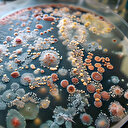 Bilim adamlarının 10 yılda çözemediğini yapay zeka 48 saatte çözdü: İşte tıp dünyasında çığır açacak o araştırma