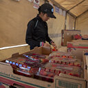 Avec les droits de douane de Trump, l'addition va être salée pour les foyers américains