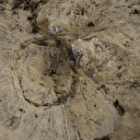 Katliam kuyusu: DEAŞ'ın Musul'daki obruğa attığı 2 binden fazla ceset çıkarılacak