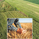 Kırsal kalkınmada 246,6 milyar liralık yatırım ülke ekonomisine kazandırıldı