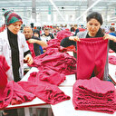 İş Pozitif ile 900 bin kadın iş sahibi oldu