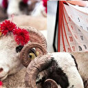 Kurban Bayramı 2025: Kurban Bayramı ne zaman, kaç gün kaldı?