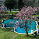 ألوان الربيع تزين قصر "إهلامور" في إسطنبول