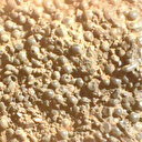 Mars'ın örümcek yumurtaları