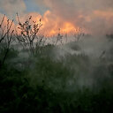 Düzce'de fındık bahçelerinde 'don ve buzlanma' ya karşı mücadele başlatıldı