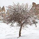 Dergilik: İnsicam’dan Zarifoğlu özel sayısı