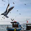 İstanbul'da hava açıyor: Tarih belli oldu bahar havası geliyor