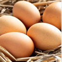 Tavuk yumurtası üretimi yıllık yüzde 10,8 azaldı