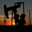 OPEC'in ham petrol üretimi martta günlük 78 bin varil azaldı