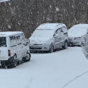 Nisan ayında lapa lapa kar yağdı