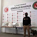 Kapıkule'de zehir tacirlerine geçit yok: Yaklaşık 46 kilo uyuşturucu ele geçirildi