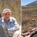 Kayseri'de sahipsiz köpek dehşeti: Yaşlı adamı parçaladılar