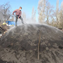 15 gün boyunca yakıyorlar: Çanakkale'den ABD ve Avrupa'ya ihraç ediliyor