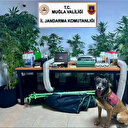 Evini uyuşturucu bahçesine çevirmiş