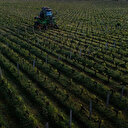 Environ 15% des terres cultivables dans le monde sont contaminées aux métaux lourds