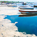 Müsilaj tehlikesi yeni kriterle bitecek