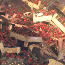 Beykoz'da 6 ton çilek yüklü TIR alev alev yandı