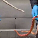 Ekipler aracı şüphe üzerine durdurdu: Devriye ekipleri gördükleri manzara karşısında neye uğradığını şaşırdı