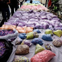Tunisie: La Garde nationale saisit 1,2 million de comprimés d'ecstasy