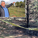 Eskişehir'de vahşet: Kayıp olarak aranan kadın ormanda yakılarak öldürülmüş