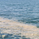 Bursa'nın Mudanya kıyılarında müsilaj görüldü: Marmara Denizi'nde yayılmaya devam ediyor